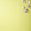 shellfish summer concept yellow background space for text