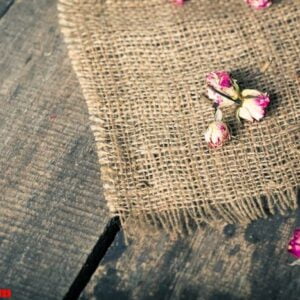 withered rose on wooden background