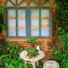 white garden table and chair with mini planters in the backyard