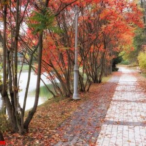 autumn park trail landscape