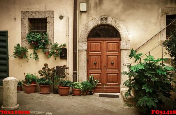 italian courtyard patio with old door and plant pots