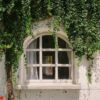 old window with green plant cover and wall background