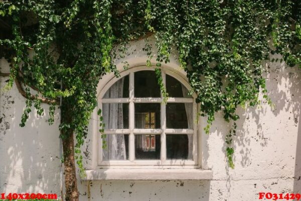 old window with green plant cover and wall background