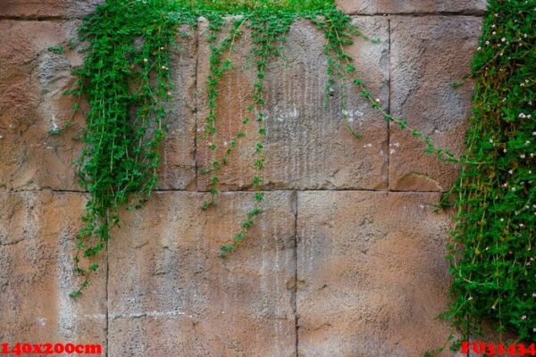 stone wall with beautiful white and green flowers.