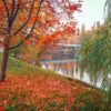 colorful autumn park. autumn trees with yellow leaves in the autumn park. belgorod. russia.