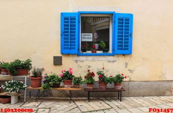 blue window in porec