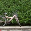 bicycle on leaf wall background