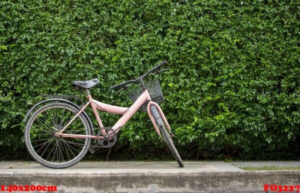 bicycle on leaf wall background