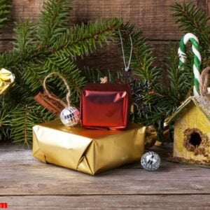 christmas decoration with nesting box