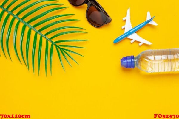 clear water bottle and toy plane. tourism and clear water concept