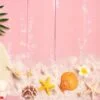beautiful summer holiday, beach accessories, seashells, sand, ha