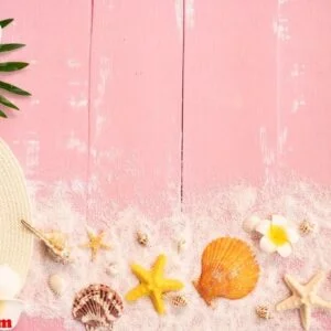 beautiful summer holiday, beach accessories, seashells, sand, ha