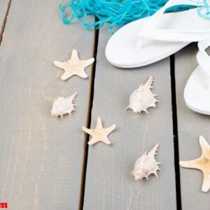 seashells and white flip flops grey wooden background. flat lay.