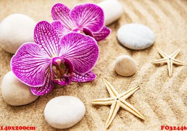 orchids and stones