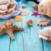 diving mask with starfish and seashells on old blue wooden background. top view. flat lay.