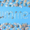 word "summer" made of seashells on blue background. copy space in minimal style, template for text. vacation concept