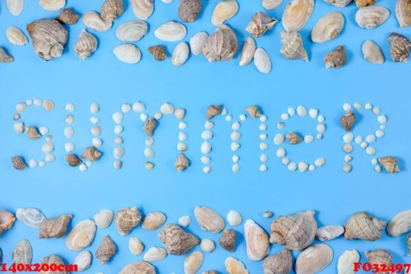 word "summer" made of seashells on blue background. copy space in minimal style, template for text. vacation concept