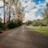 straight road with trees in both sides. high speed concept.