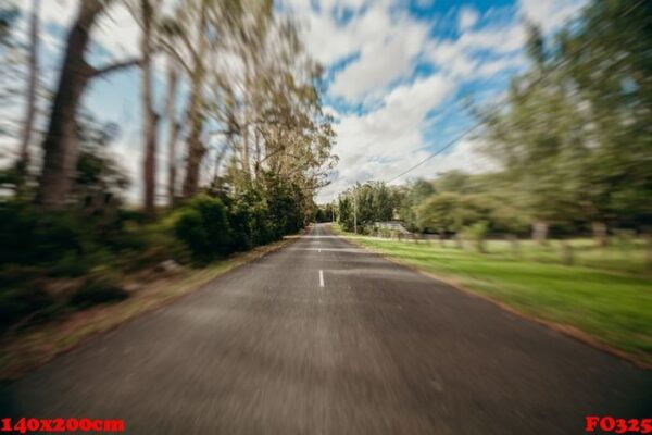 straight road with trees in both sides. high speed concept.