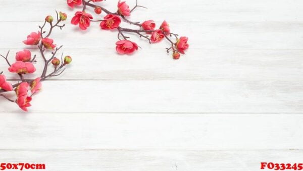 plum flowers blossom on white wood plank for chinese new year