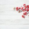 plum flowers blossom on white wood plank for chinese new year