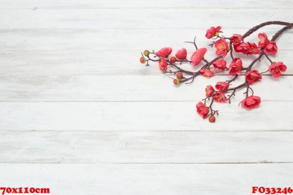 plum flowers blossom on white wood plank for chinese new year