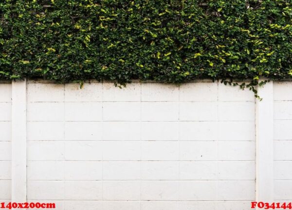 concrete wall with green leaves