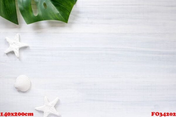 top view summer monstera leaf and shell and star fish on white w