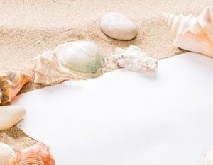 message in torn paper on the beach. summer background with hot s