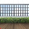 tropical green leaf wall and window frame with clipping path.