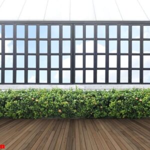 tropical green leaf wall and window frame with clipping path.