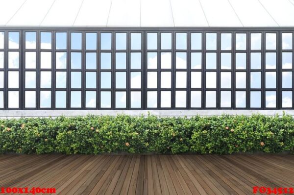 tropical green leaf wall and window frame with clipping path.