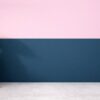 flower in vase on the stool with dark blue wall and pink wall in