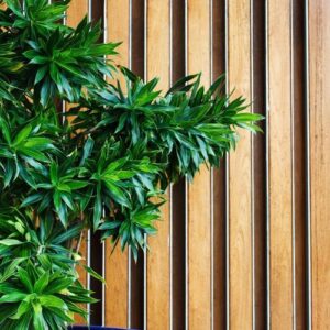 hotel lobby with green plant