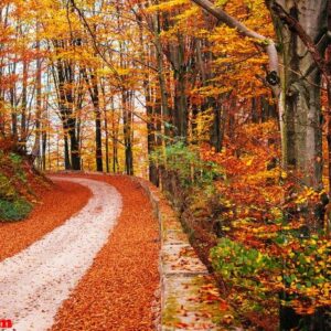 scenic autumn landscape