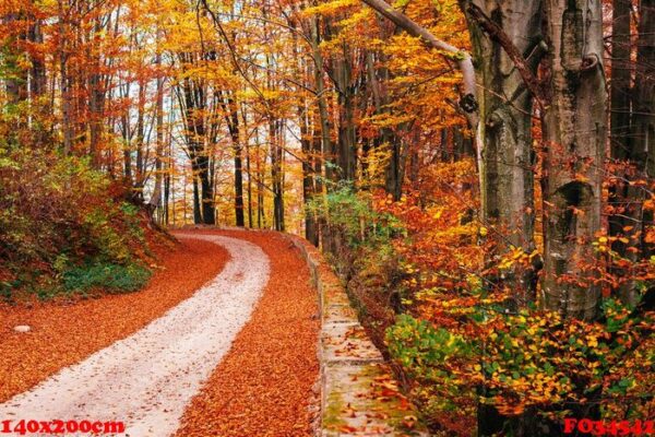 scenic autumn landscape