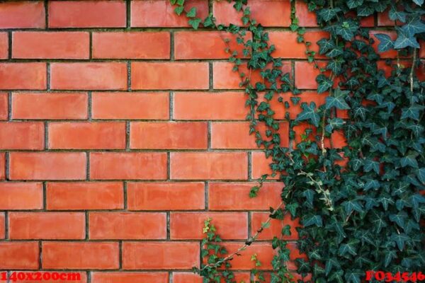 ivy plant on a red brick wall.