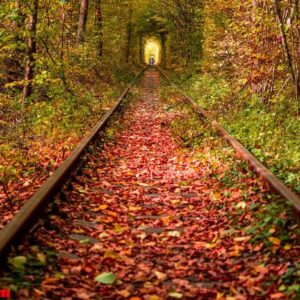 a railway in the autumn forest tunnel of love