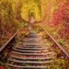 a railway in the autumn forest tunnel of love