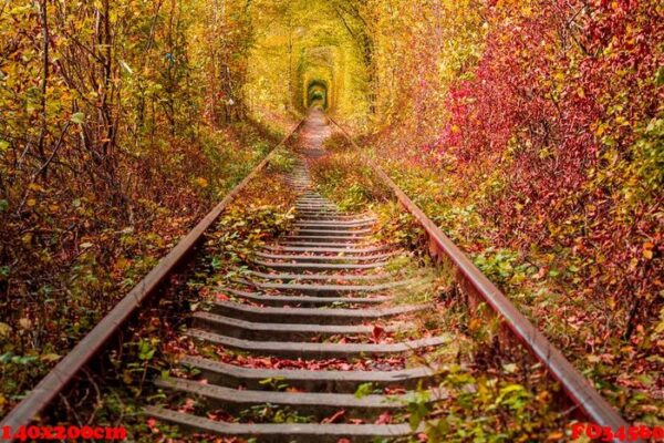 a railway in the autumn forest tunnel of love