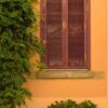 cream colored wall with window and flowers