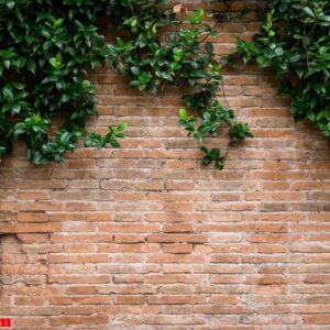 detail of brick red wall with decorative arches and growing plan