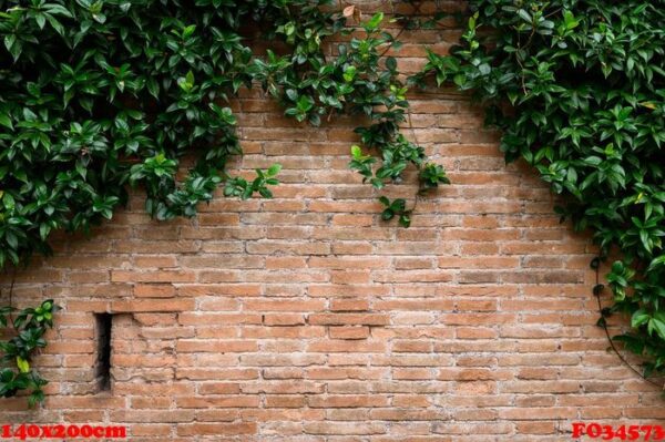 detail of brick red wall with decorative arches and growing plan