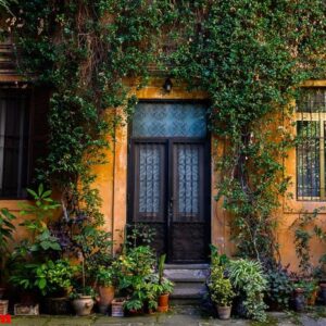 antique front door. yard full of plants in the trastevere area.