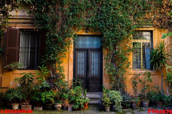 antique front door. yard full of plants in the trastevere area.