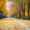 autumn road in park,seoul korea.