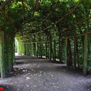 potsdam palace and park, germany