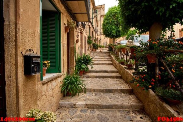 old european street decorated with fresh flowers city of valldemossa. palma de mallorca. spain.