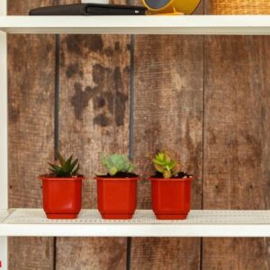 close up of white bookshelf against grunge wooden wall