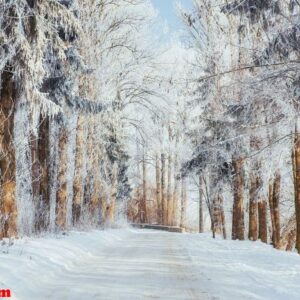 the winter road. dramatic scene. carpathian, ukraine, europe.